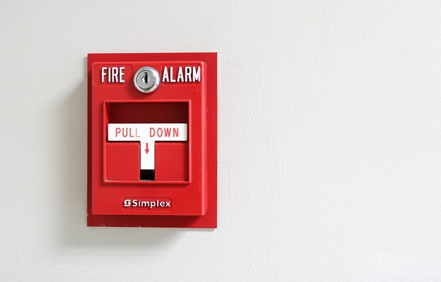 the fire alarm